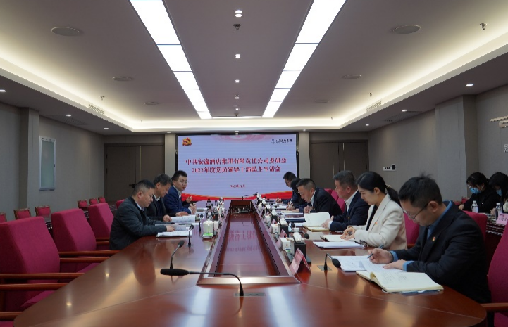 必发888集团党委书记、董事长任丁出席安逸酒店集团2022年度党员领导干部民主生活会